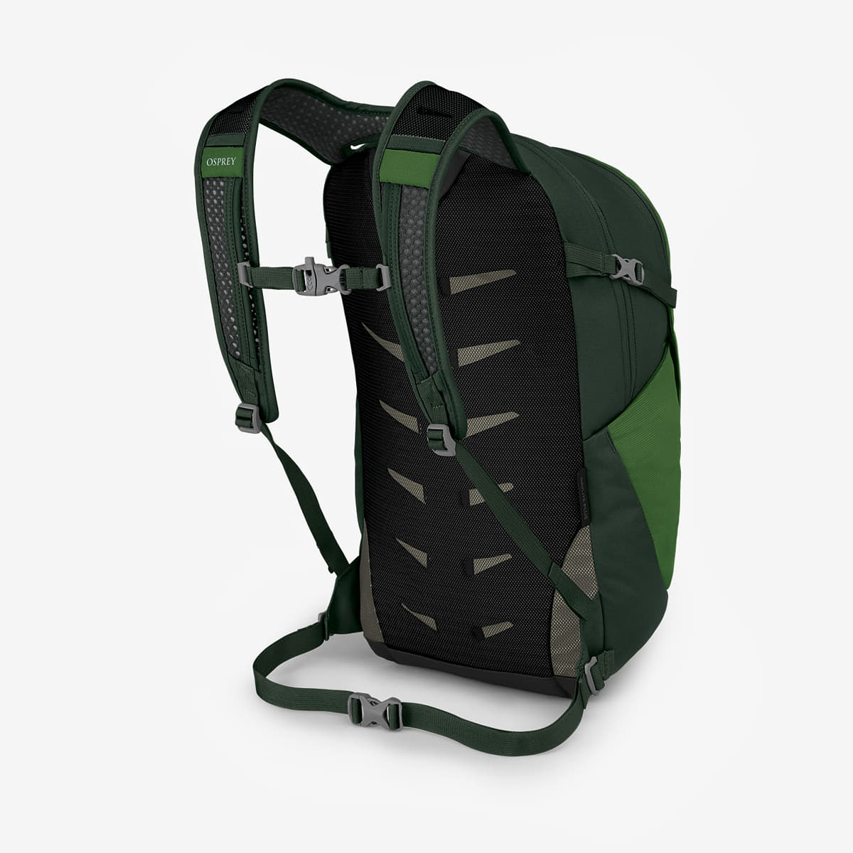 Heren rugzakken Osprey Daylite Plus Green Belt/ Green Canopy