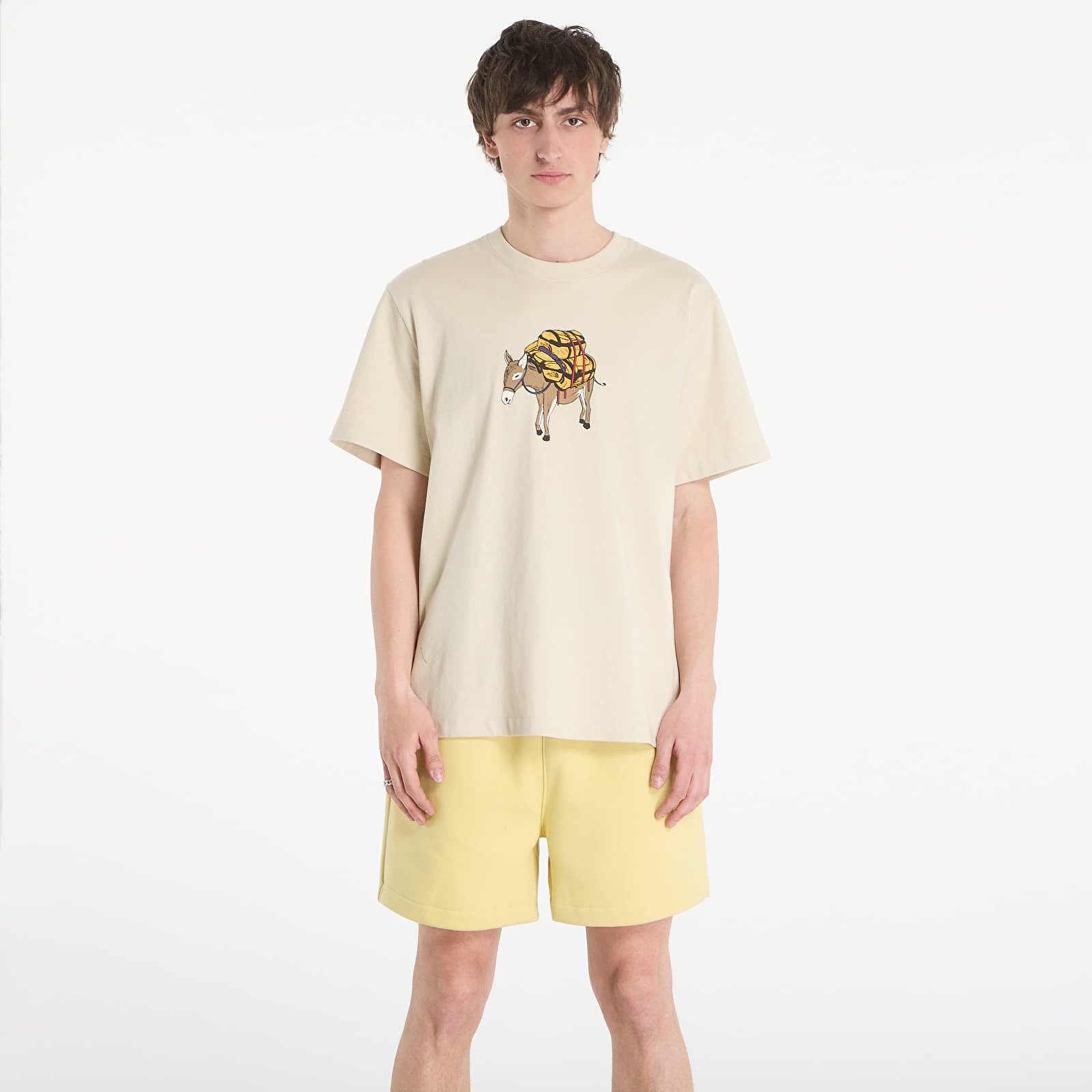 Majice i košulje The North Face M Donkey Taxi Relaxed Short Sleeve Tee Graphic Desert Stone