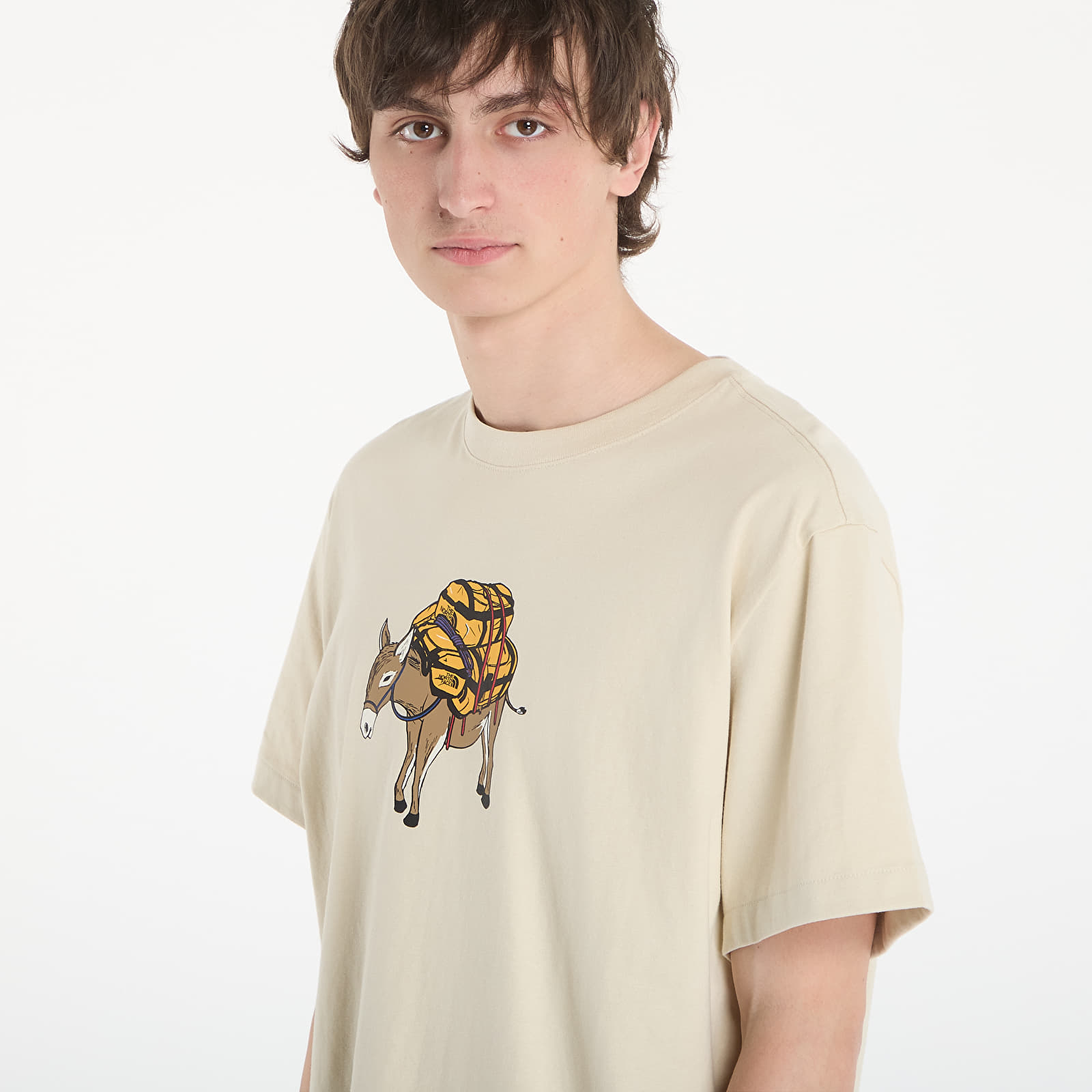 Majice i košulje The North Face M Donkey Taxi Relaxed Short Sleeve Tee Graphic Desert Stone