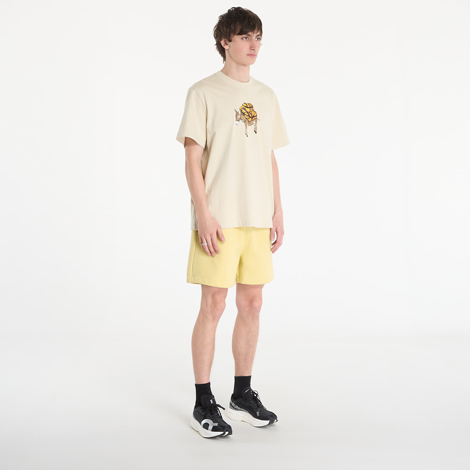 Majice i košulje The North Face M Donkey Taxi Relaxed Short Sleeve Tee Graphic Desert Stone