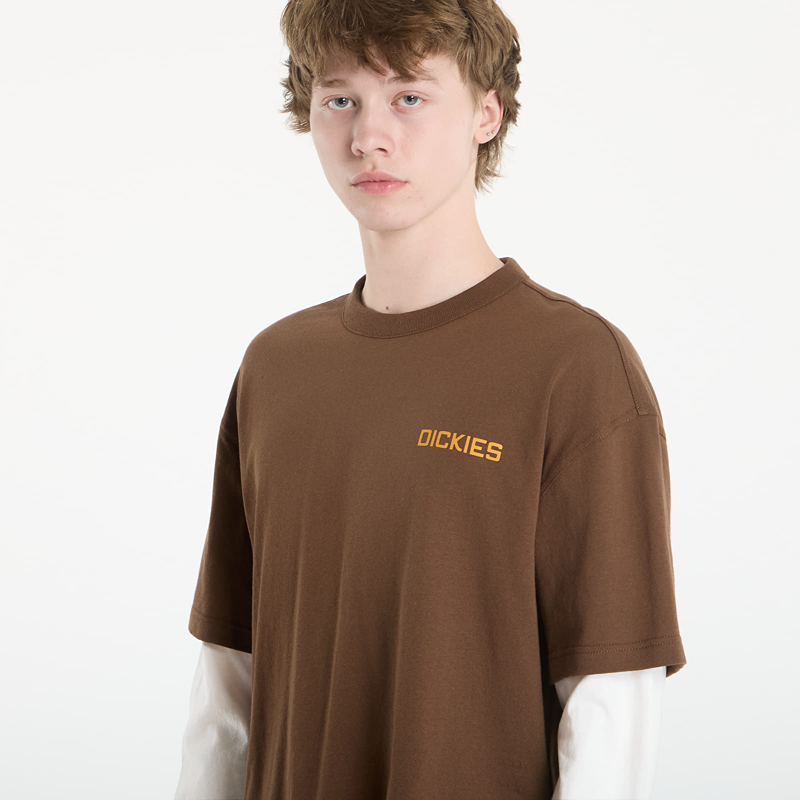 Футболки Dickies Payson 2-in-1 Tee Timber Brown