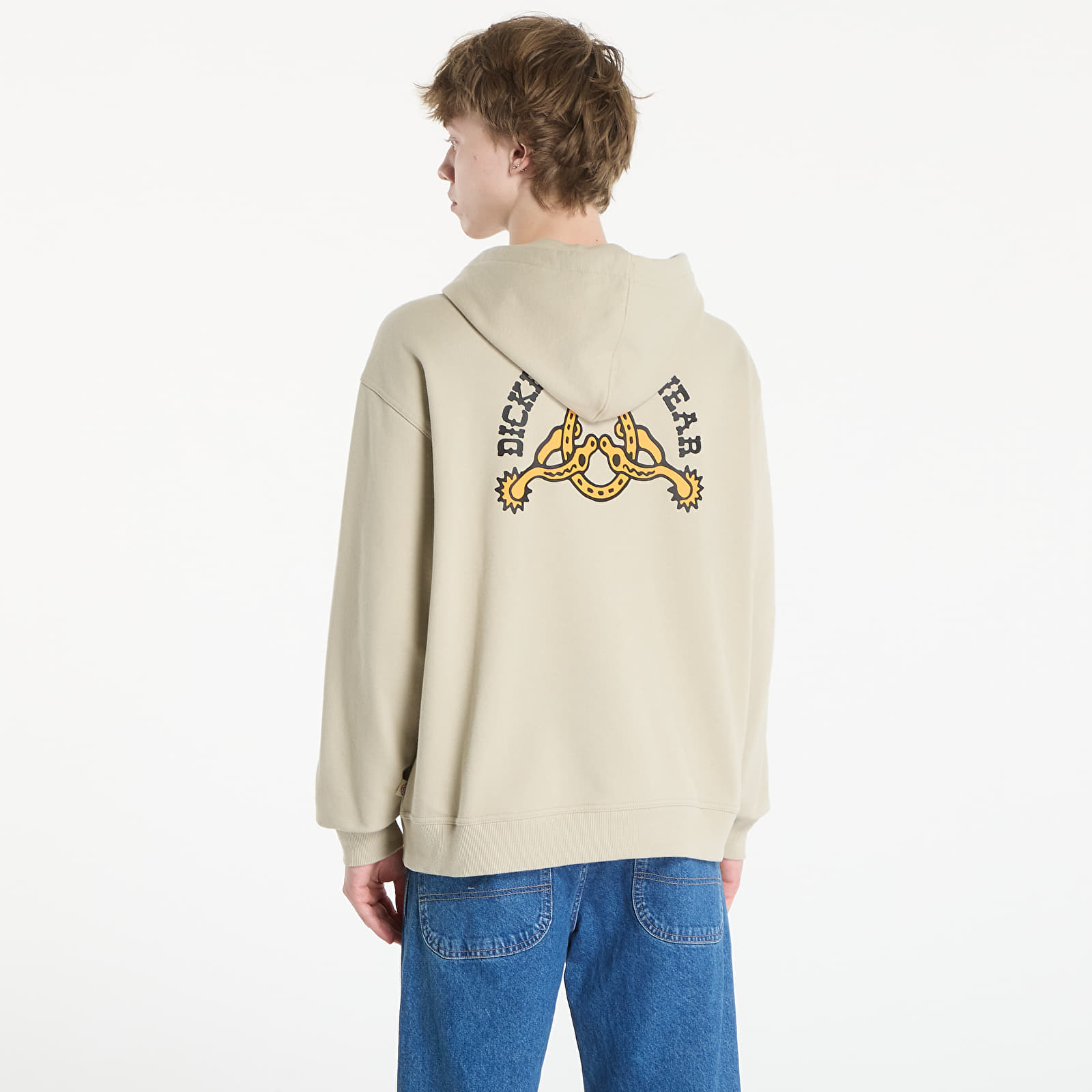 Регланы и толстовки Dickies Bettsville Full Zip Hoodie Eucalyptus