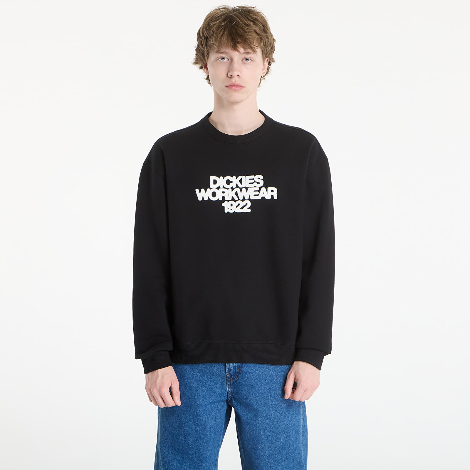 Регланы и толстовки Dickies Torrey Sweatshirt Black