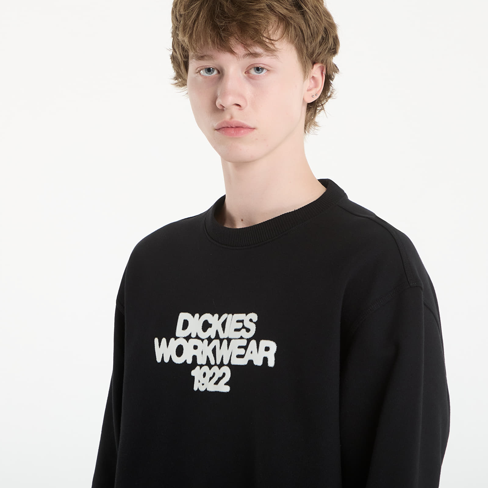 Регланы и толстовки Dickies Torrey Sweatshirt Black