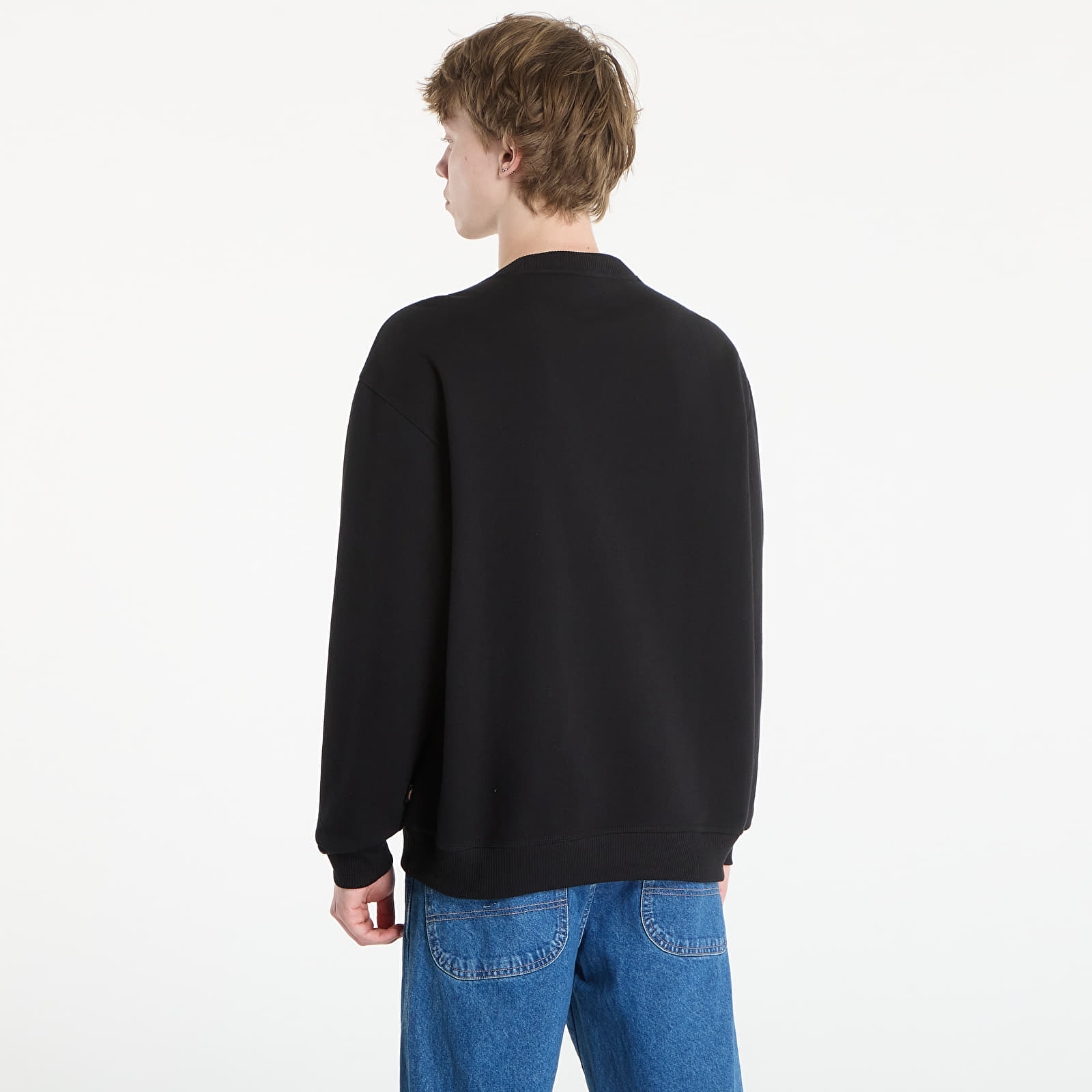 Регланы и толстовки Dickies Torrey Sweatshirt Black