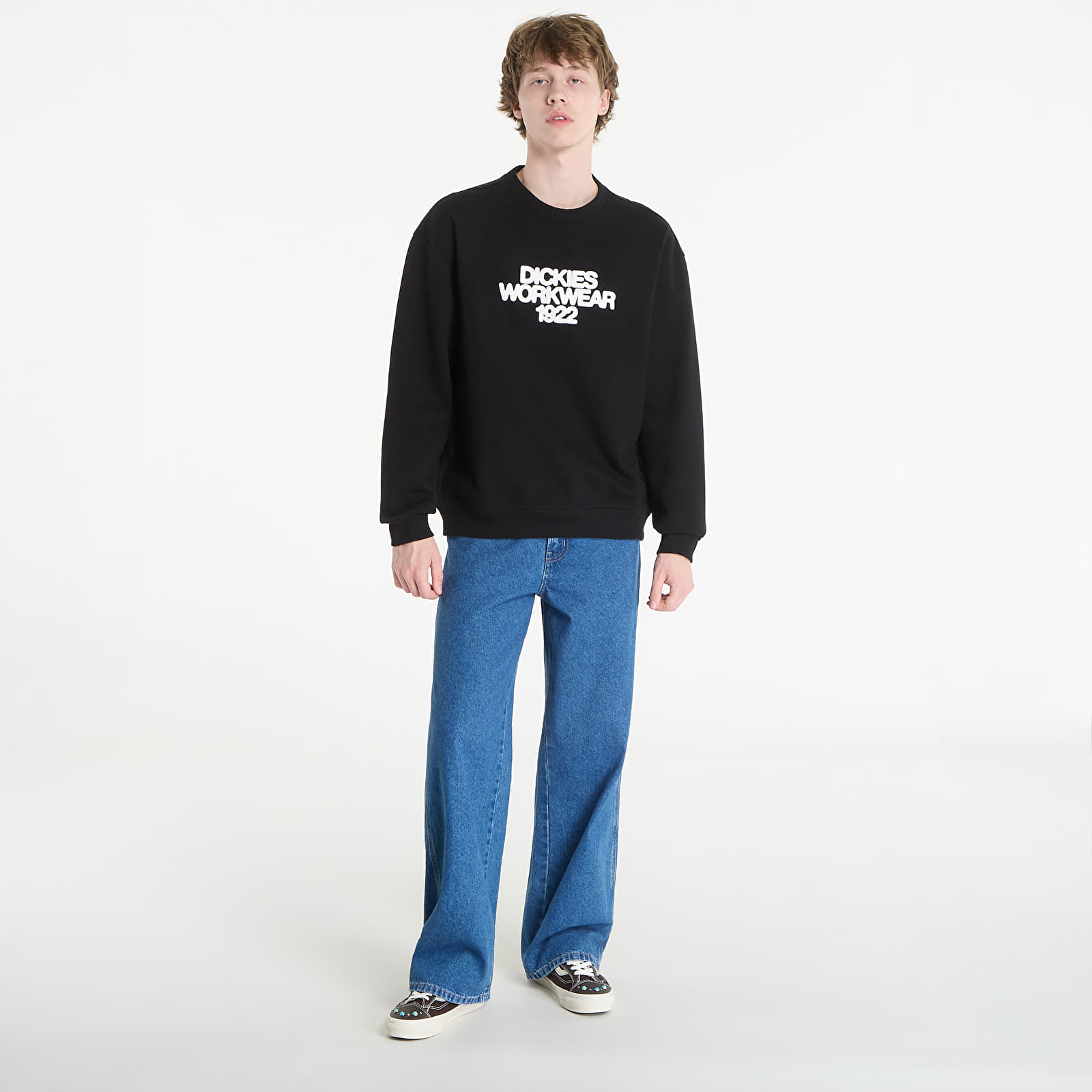 Регланы и толстовки Dickies Torrey Sweatshirt Black