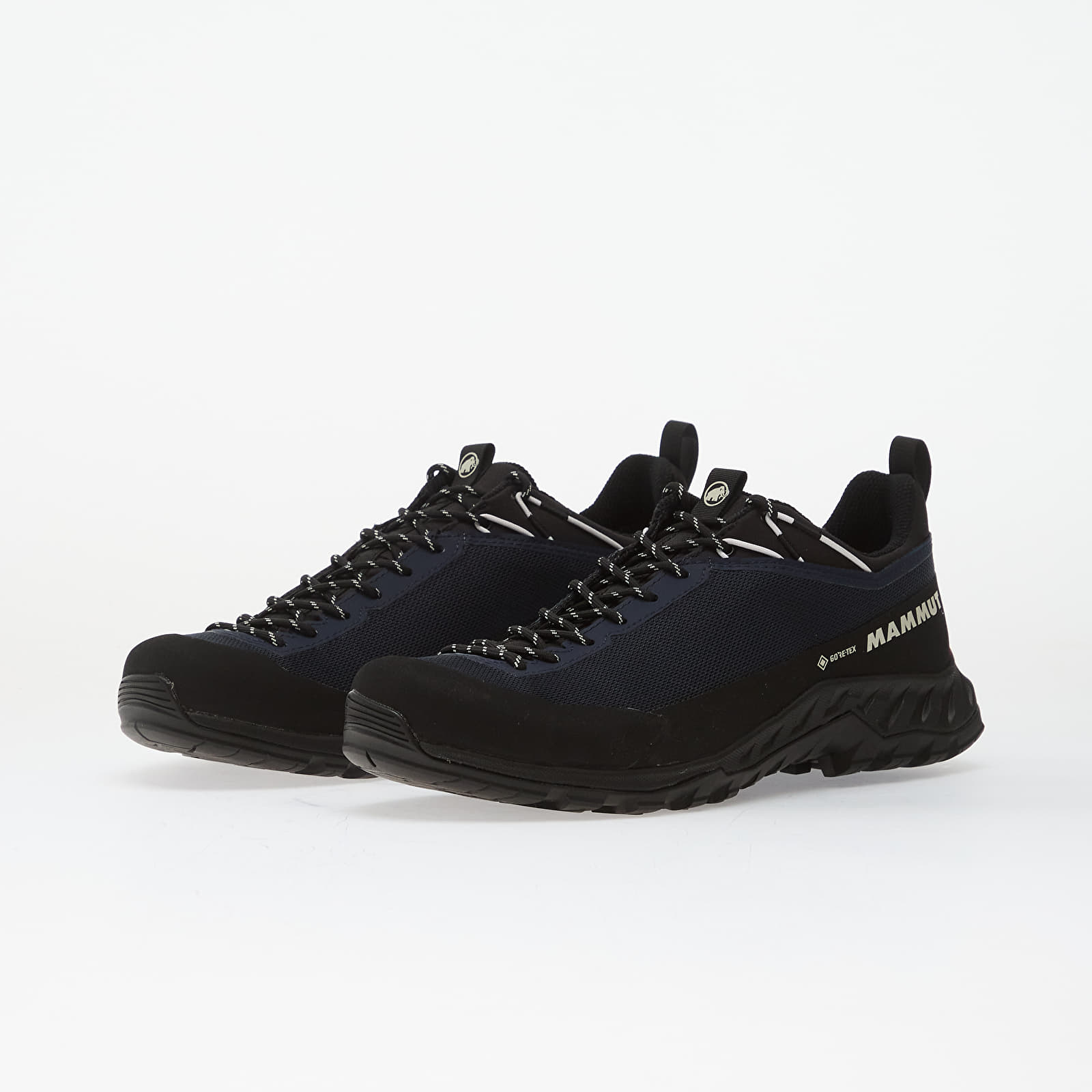 Meeste kingad Mammut Alnasca IV Low GTX Men Marine/ White