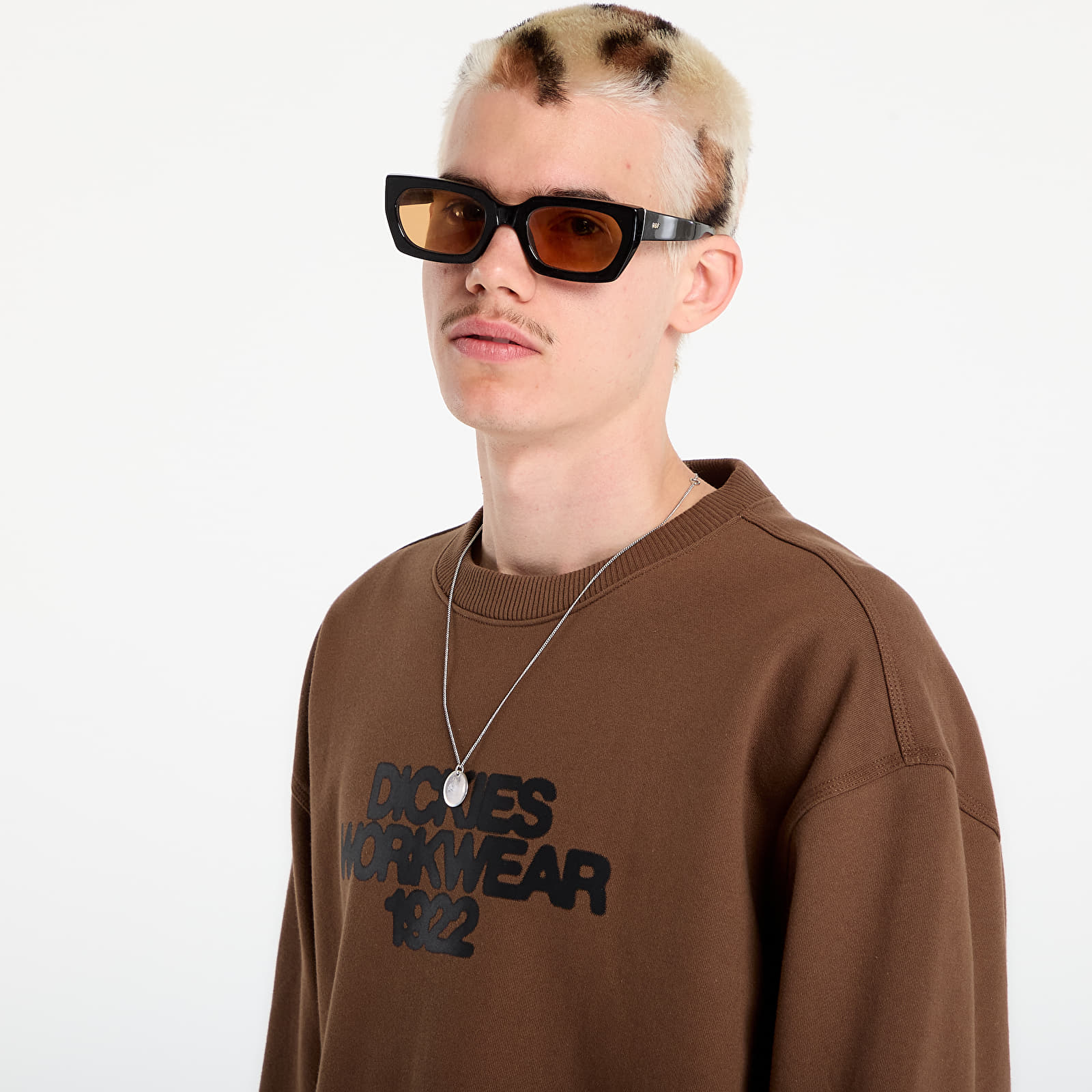Регланы и толстовки Dickies Torrey Sweatshirt Timber Brown