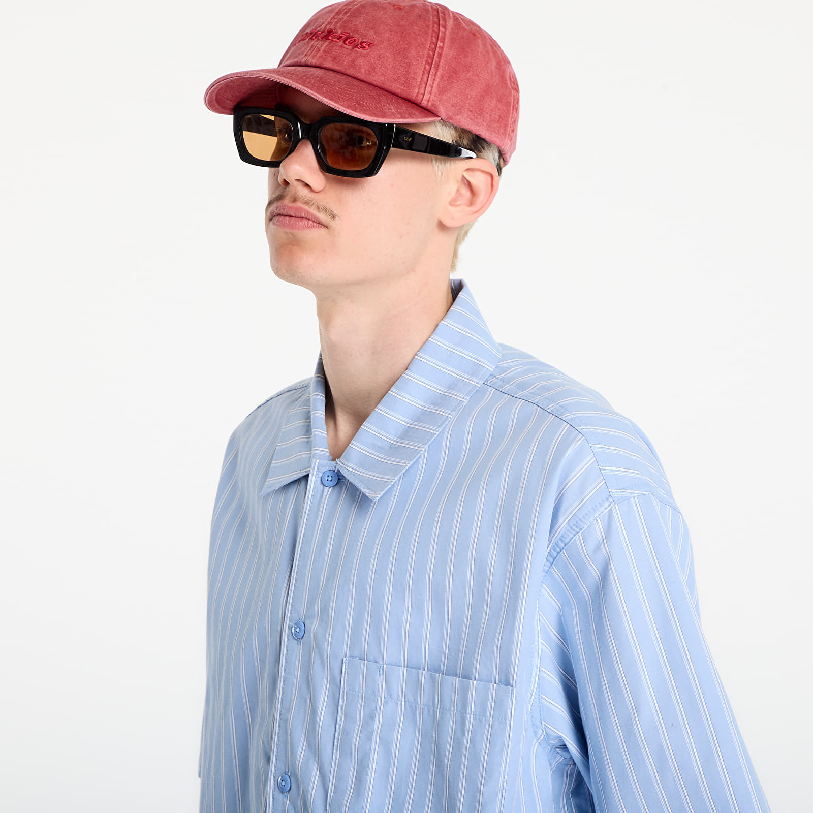Shirts Dickies Venedocia Stripe Shirt Short Sleeve Endless
