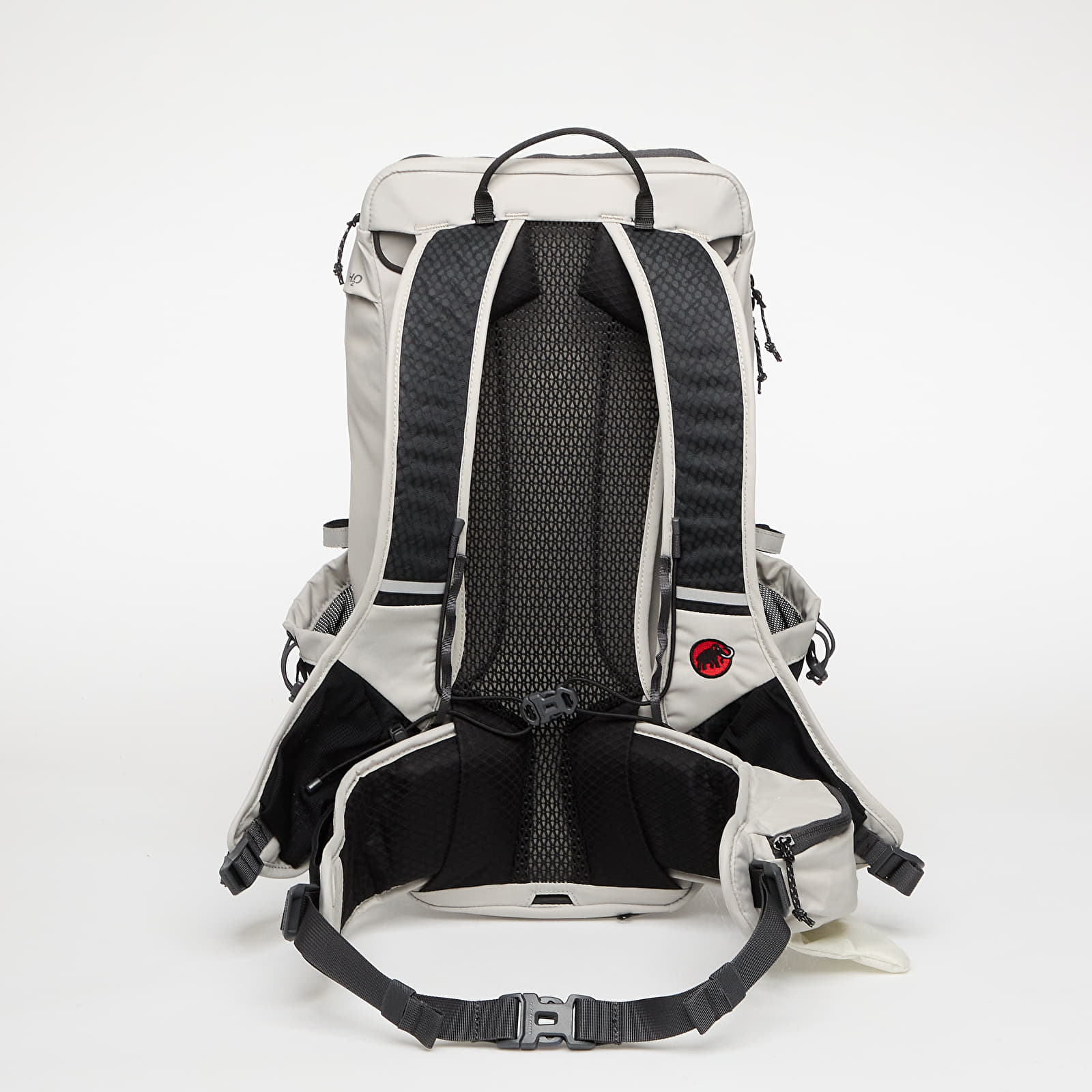 Rucksäcke Hiking Patrol x Mammut Ducan 22 Sage Frost-Willow Whisper