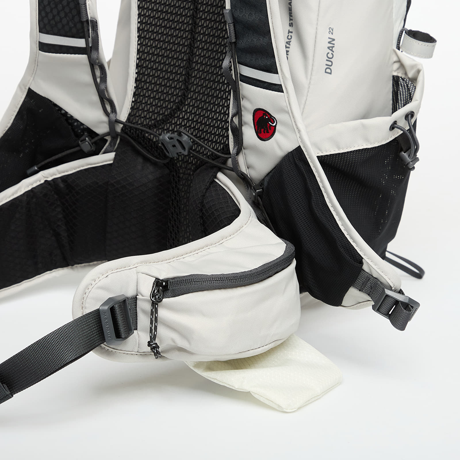 Rucksäcke Hiking Patrol x Mammut Ducan 22 Sage Frost-Willow Whisper