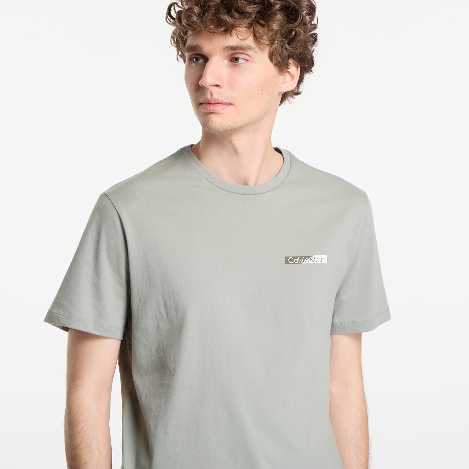 T-shirts de homem Calvin Klein Ss 30S Eu Spw Split Standard Graphic Tee Shadow
