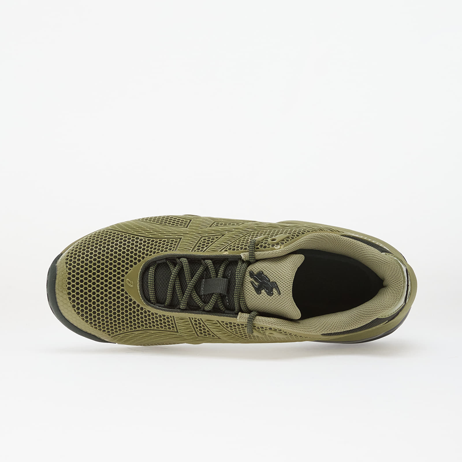 Vīriešu apavi Asics Gel-Teremoa Ii Mosstone /  Deep Forest