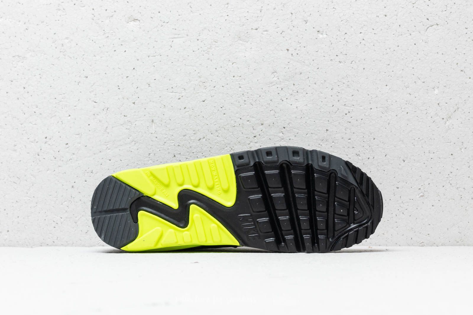 Moteriška avalynė Nike Air Max 90 Leather (GS) Dark Grey/ Vold-Black