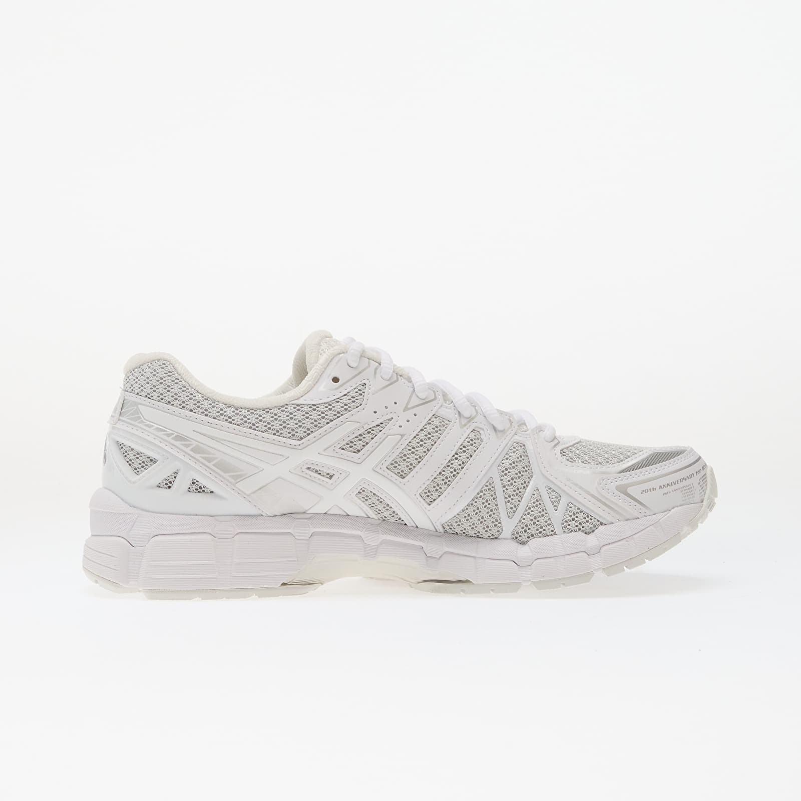 Men's shoes Asics Gel-Kayano 20 Glacier Grey/ White
