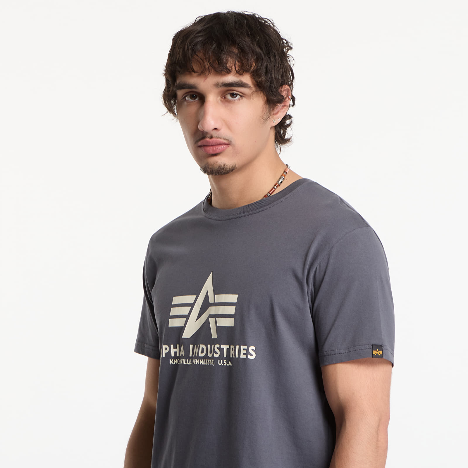 T-shirts Alpha Industries Basic T-Shirt Grey Black