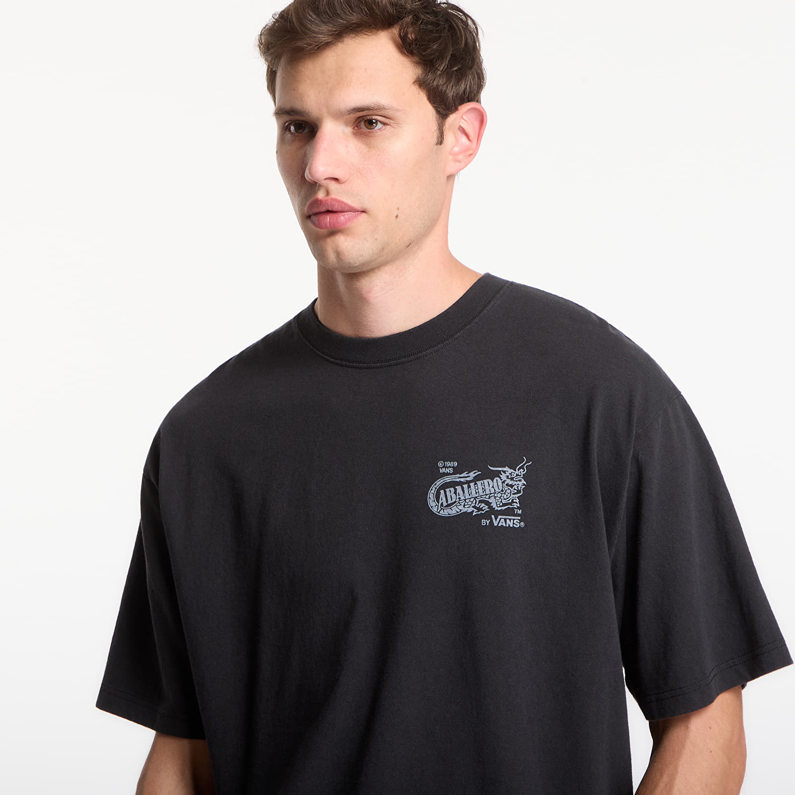 Чоловічі футболки Vans Caballero SS Tee Black