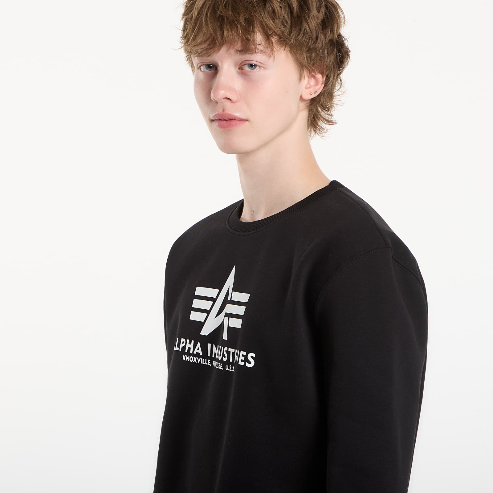 Sweatjacken und Sweatshirts Alpha Industries Basic Hoody Small Logo II Black