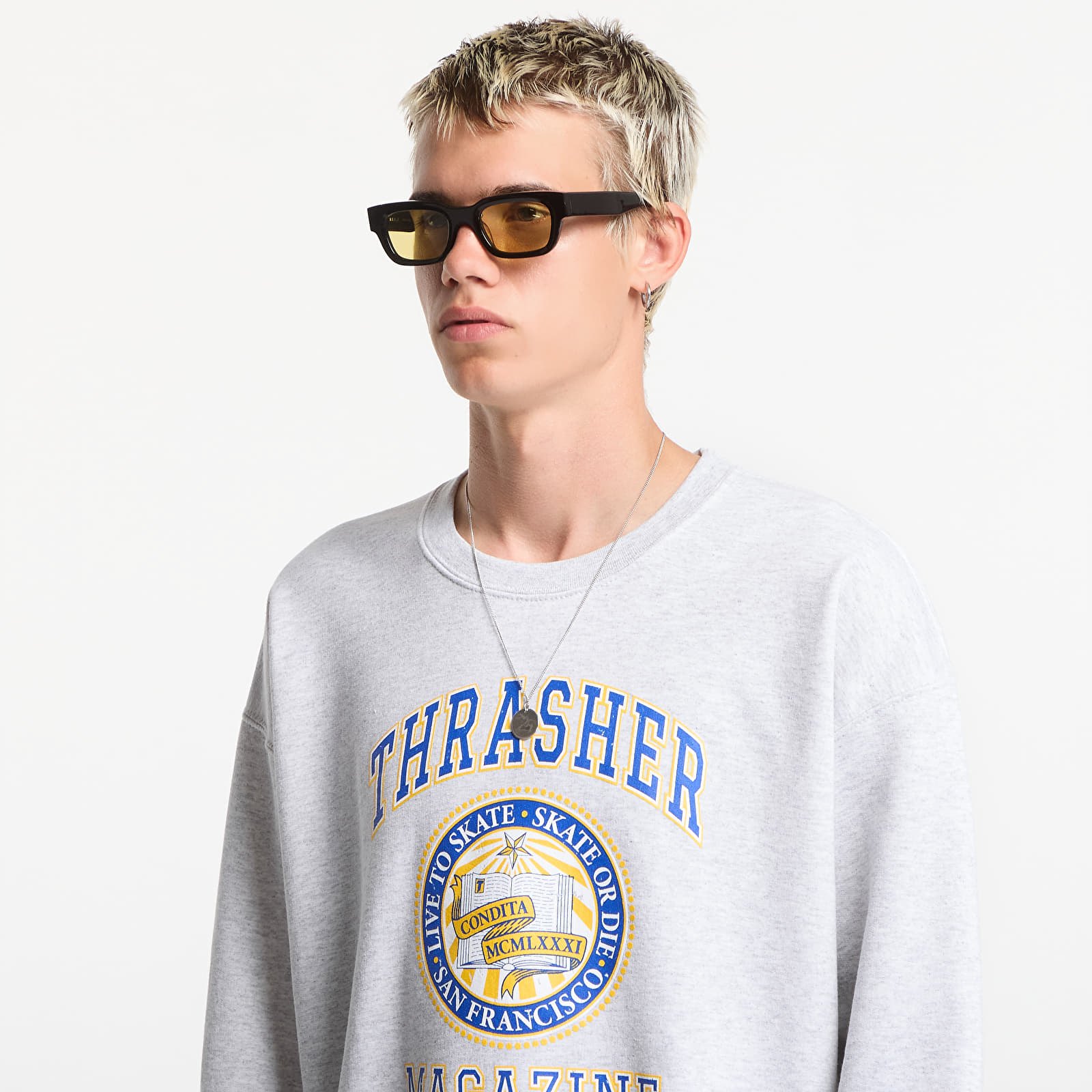 Sweatshirts Thrasher Dropout Crewneck Grey
