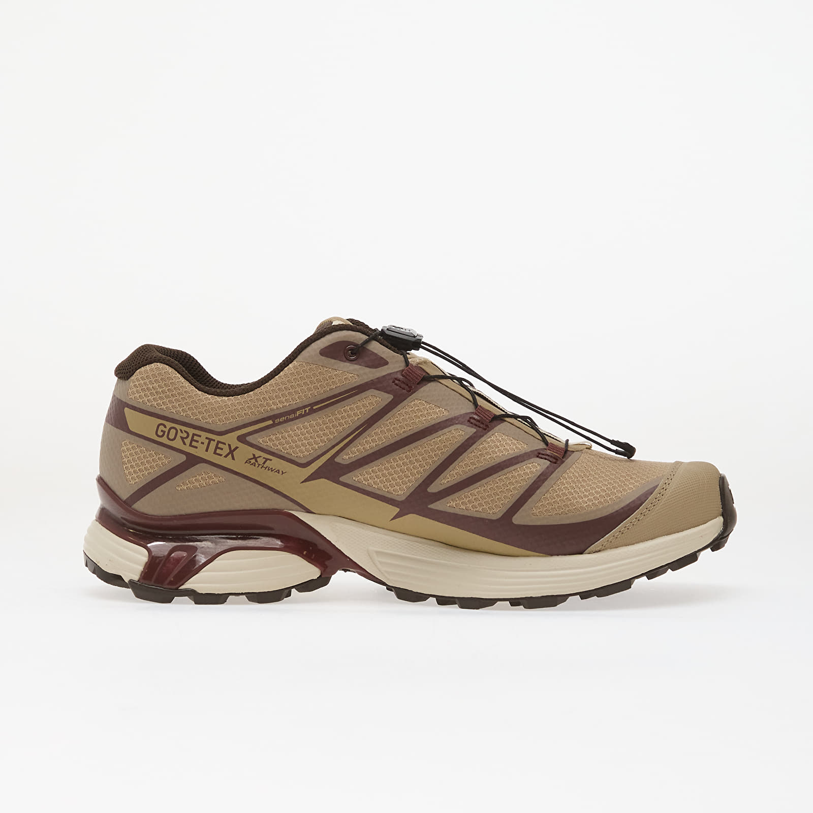 Men's shoes Salomon XT-Pathway GTX Dsrtan/ Bchoco/ Rainy