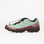 Salomon XT-6 GTX Lichen/ Nocturne/ Claqua