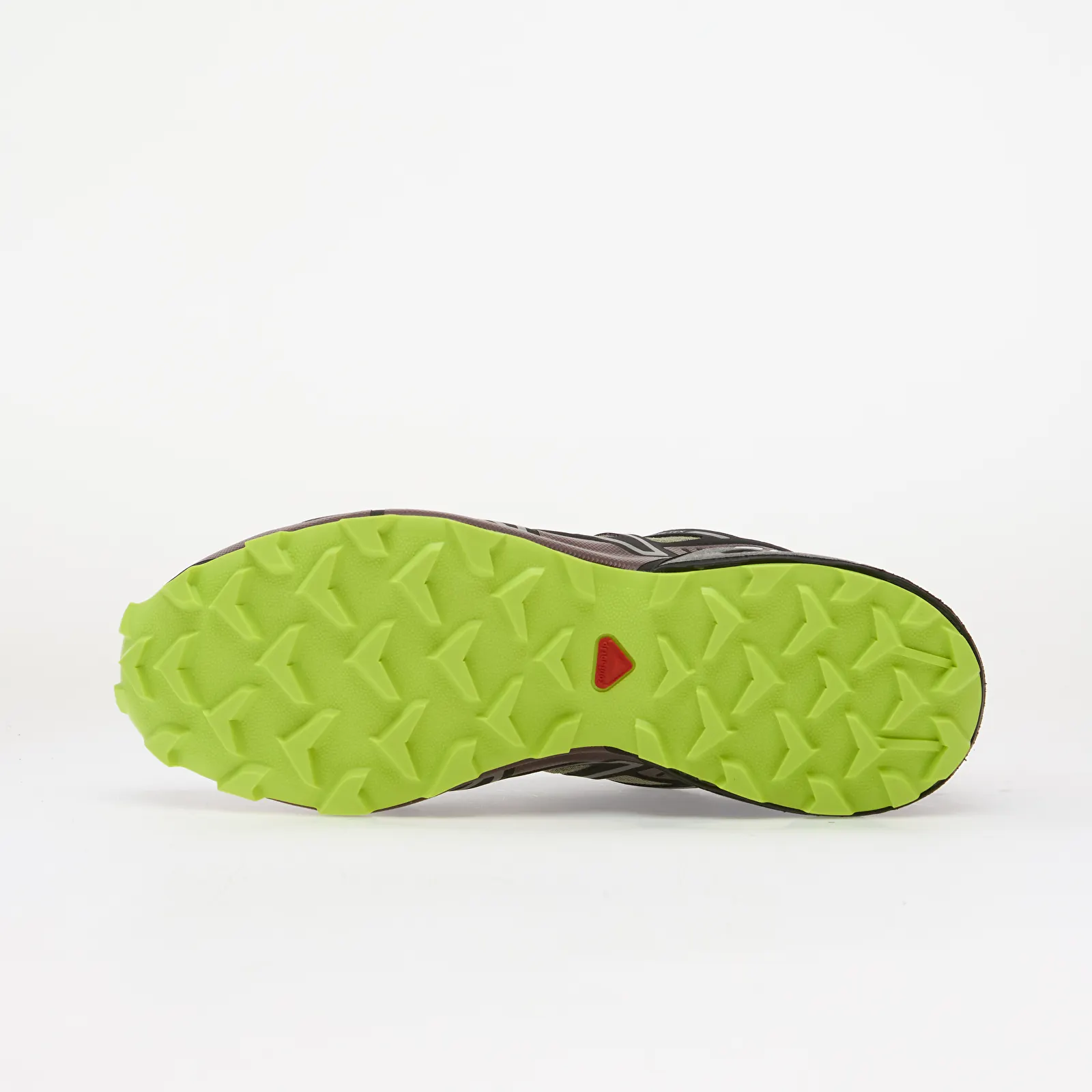 Buty męskie Salomon Speedcross 3 GTX Silves/ Huckle/ Blac