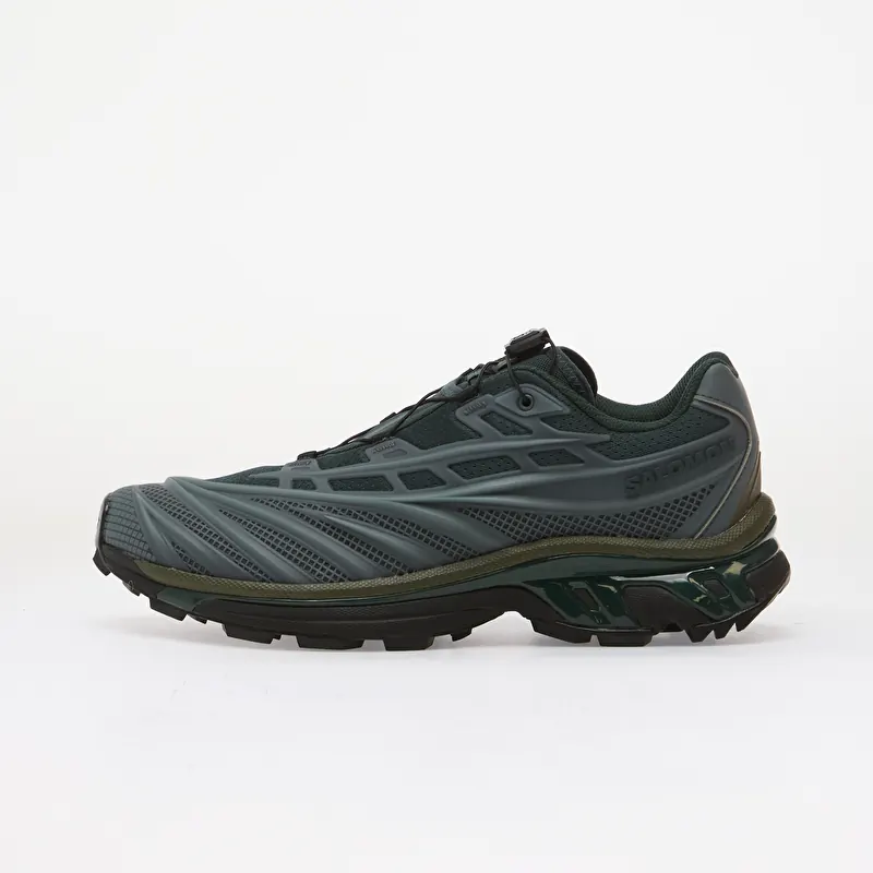 Salomon XT-EVO Stormw/ Dark S/ Grape Leaf