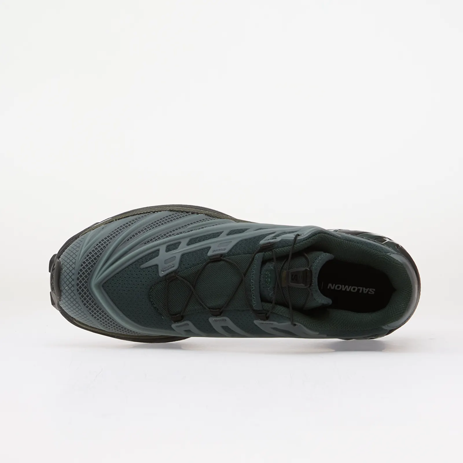 Încălțăminte și sneakerși pentru bărbați Salomon XT-EVO Stormw/ Dark S/ Grape Leaf