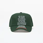 PLEASURES Atmosphere Snapback Forest