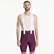 Rapha Men's Brevet Element Cargo Bib Shorts Plum/ White