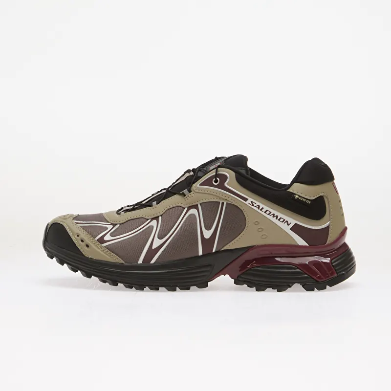 Salomon XT-WHISPER GTX Silves/ Huckle/ Maroob
