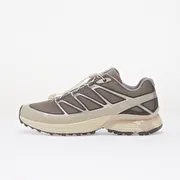 Salomon XT-Pathway 2 Gull/ Ftw Silver/ Lilaca