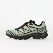 Salomon XT-6 GTX Sea Foam/ Greenm/ Black