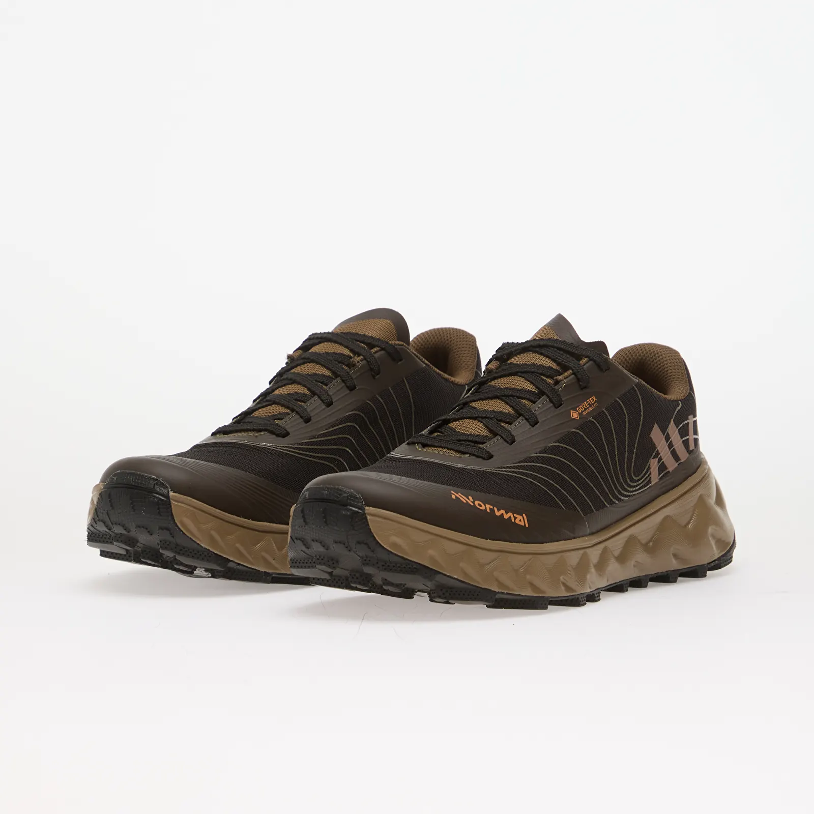 Chaussures et baskets homme NNormal Tomir 2.0 GTX Shoe Brown/ Black
