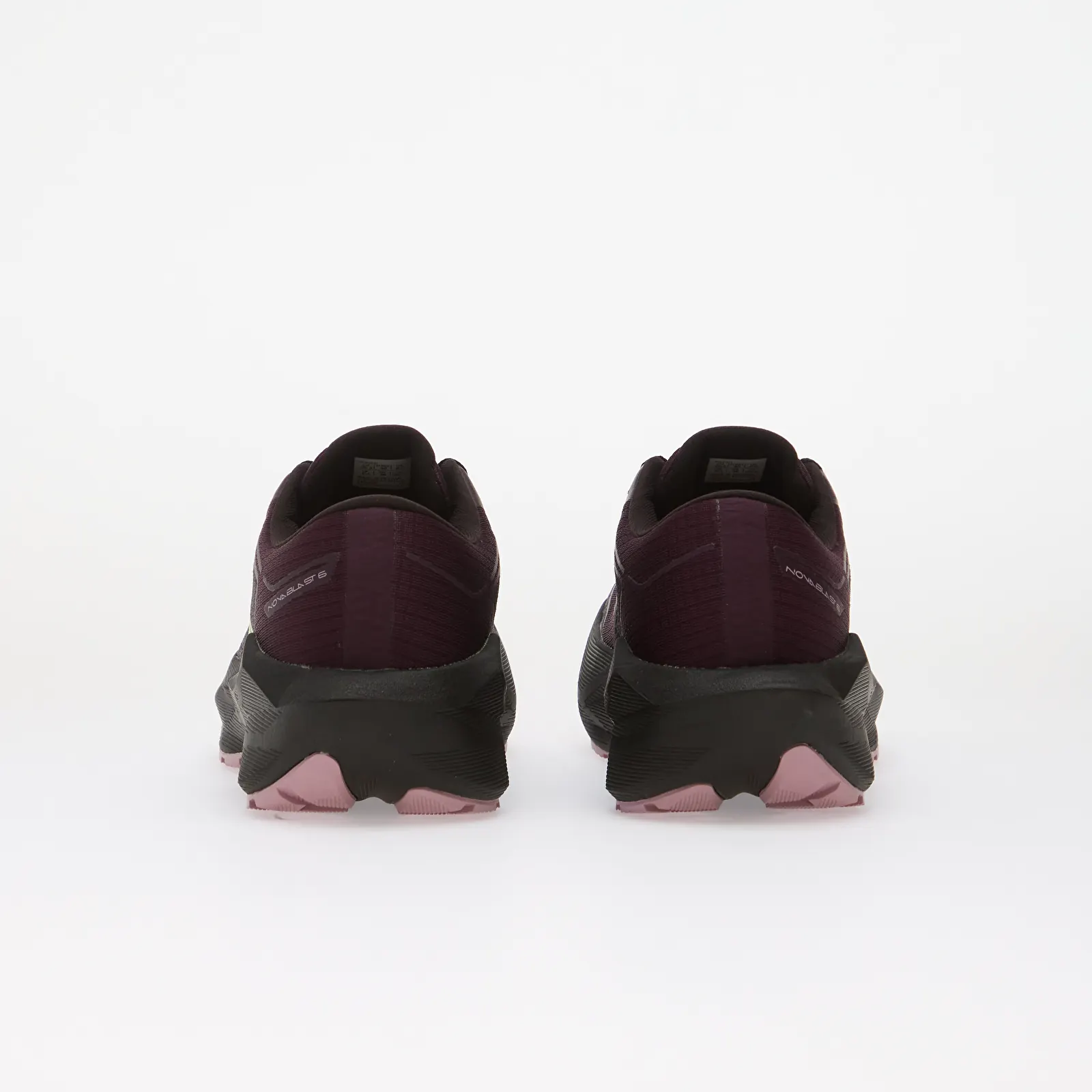 Women's shoes Asics Novablast 6 Gtx Dark Aubergine/ Black