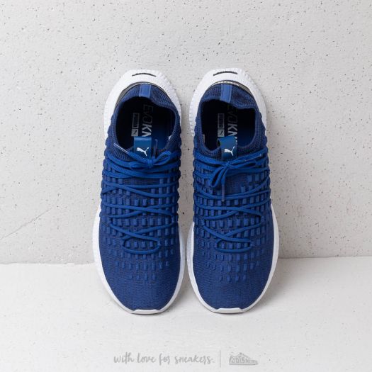 Men s shoes Puma Avid Fusefit Sodalite Blue Blue White Footshop