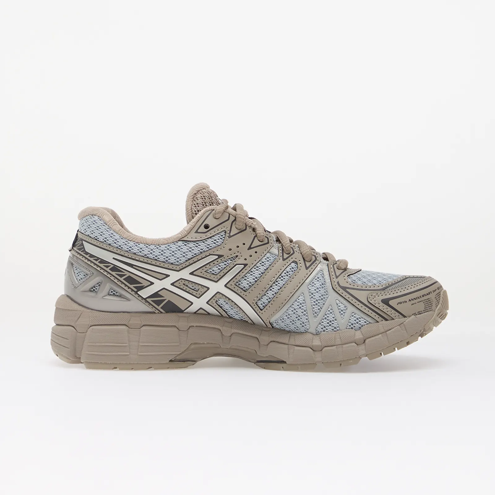 Meeste kingad Asics Gel-Kayano 20 Storm Cloud/ Pure Silver