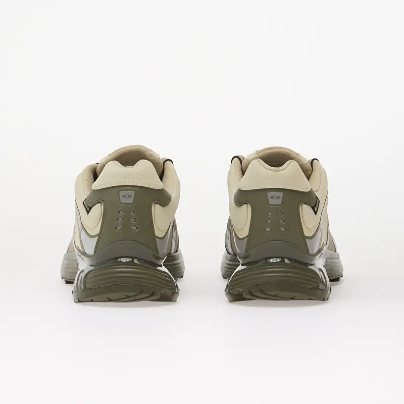 Men's shoes Salomon XT-Whisper GTX Aspargus Green/ Deep Lichen