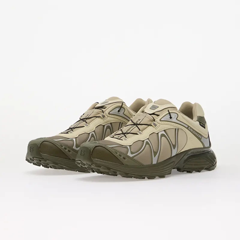 Men's shoes Salomon XT-Whisper GTX Aspargus Green/ Deep Lichen