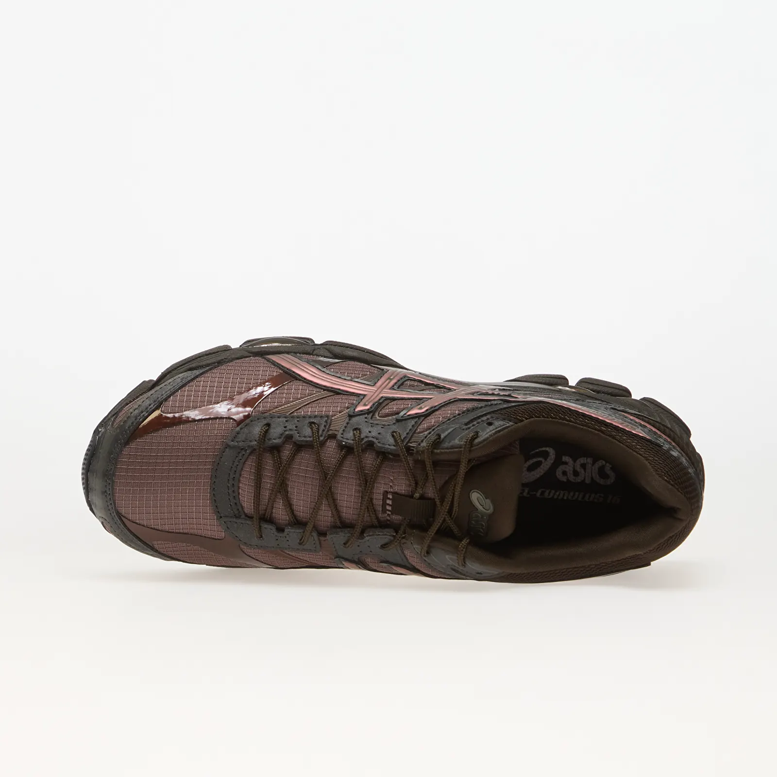 Чоловіче взуття Asics Gel-Cumulus 16 Cocoa Powder/ Black