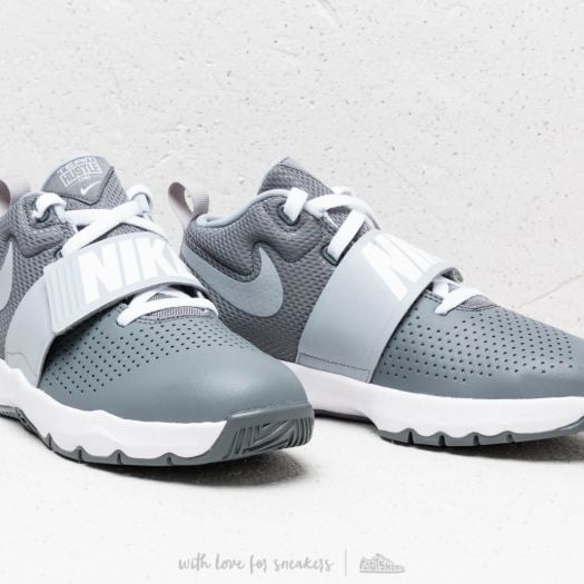 Women s shoes Nike Team Hustle D 8 GS Cool Grey Wolf Grey White Footshop