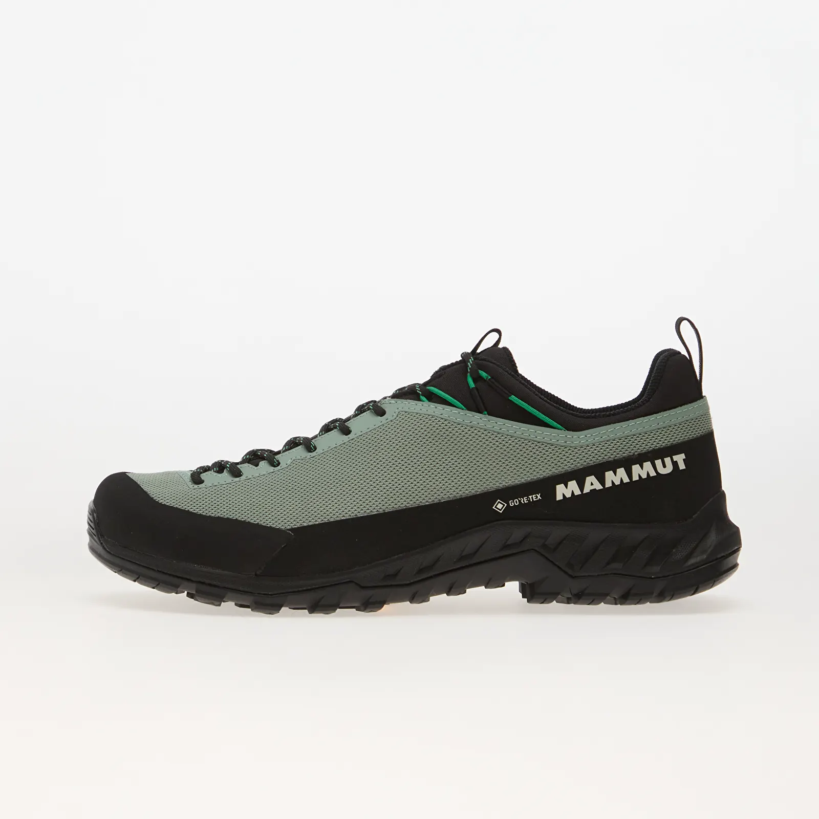 Sneakers voor heren Mammut Alnasca IV Low GTX Deep Silver Sage/ Pinea