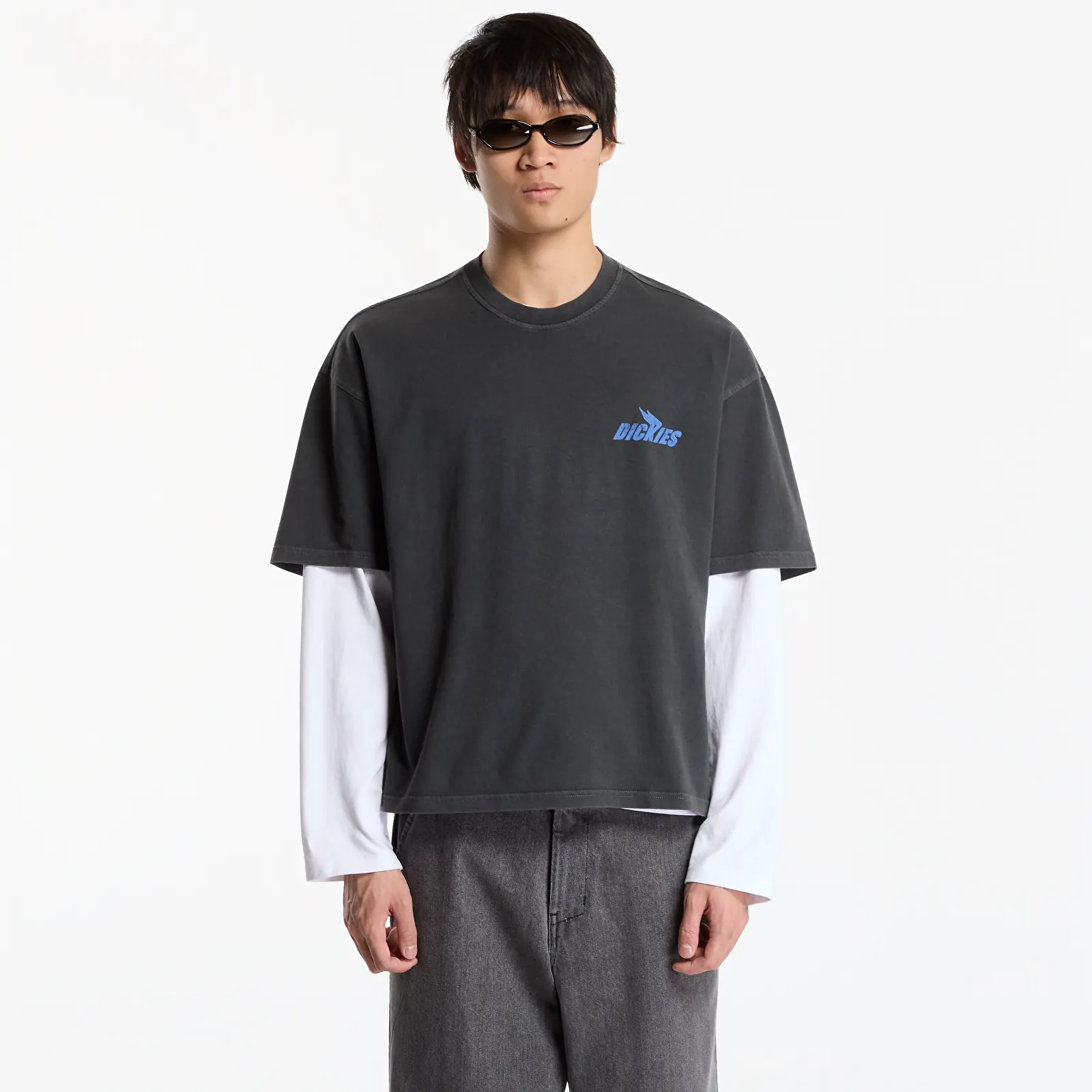 T-Shirts Dickies Shonto SS Tee Black