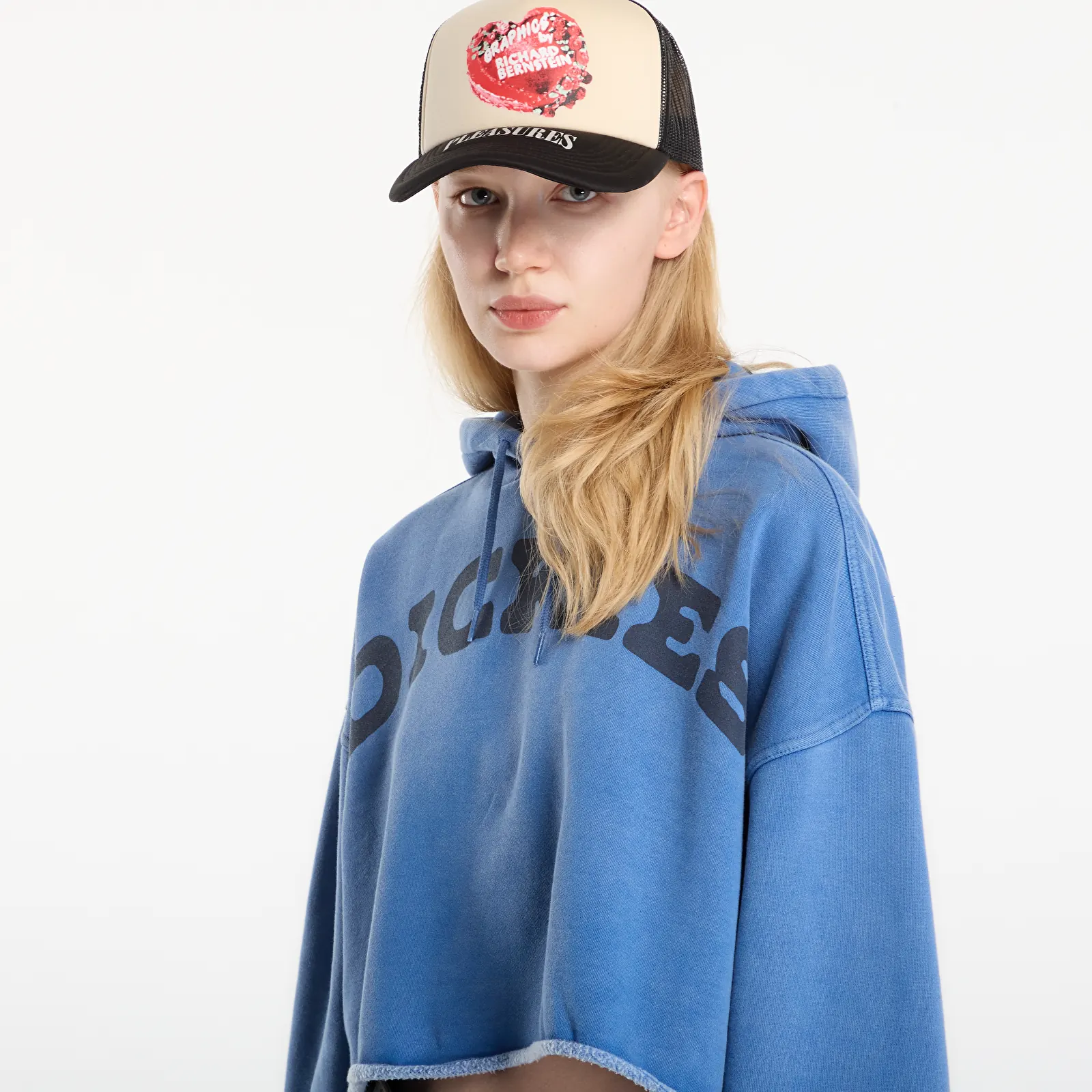 Sweatshirts Dickies Hollywood Cropped Hoodie Blue