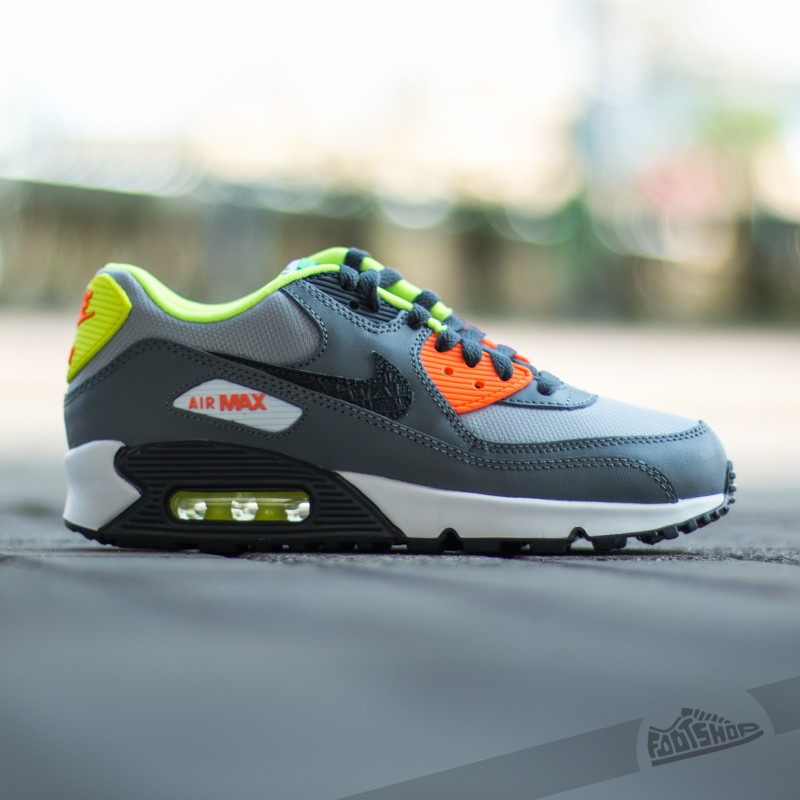 Women's shoes Nike Air Max 90 (GS) Wolf Grey/ Anthracite-Cool Grey-White