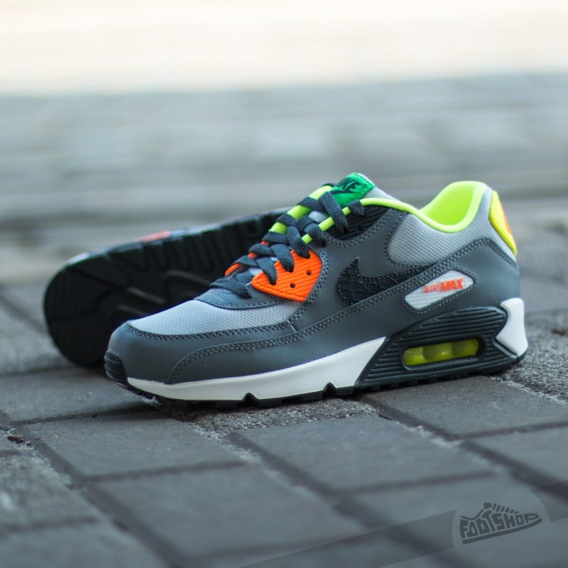 Women's shoes Nike Air Max 90 (GS) Wolf Grey/ Anthracite-Cool Grey-White