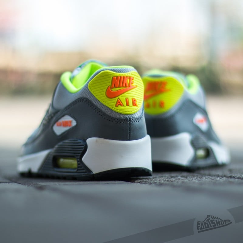 Women's shoes Nike Air Max 90 (GS) Wolf Grey/ Anthracite-Cool Grey-White