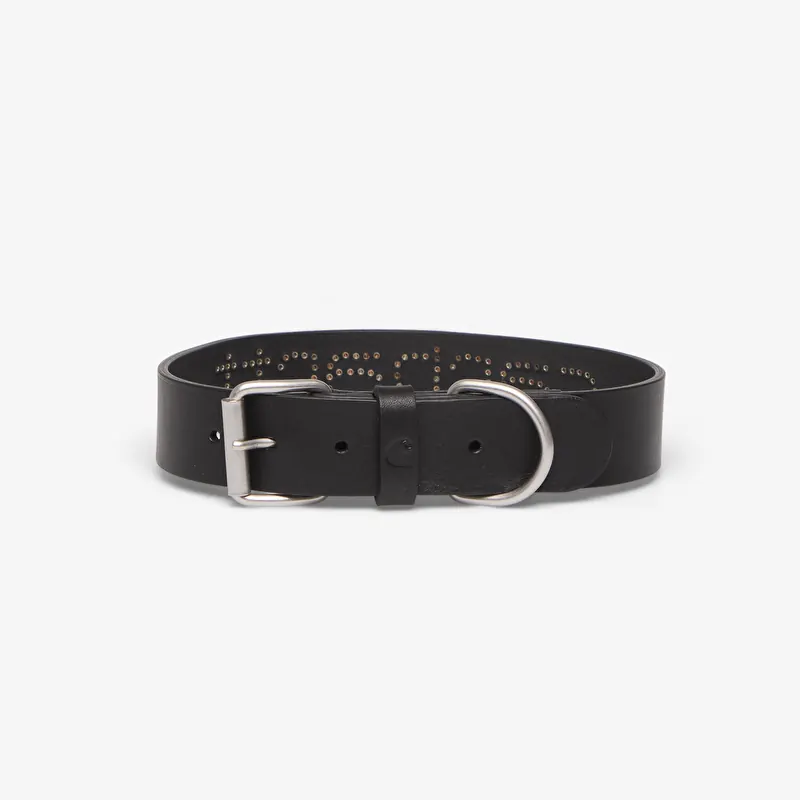 Carhartt WIP Script Studs Dog Collar Black - M/L