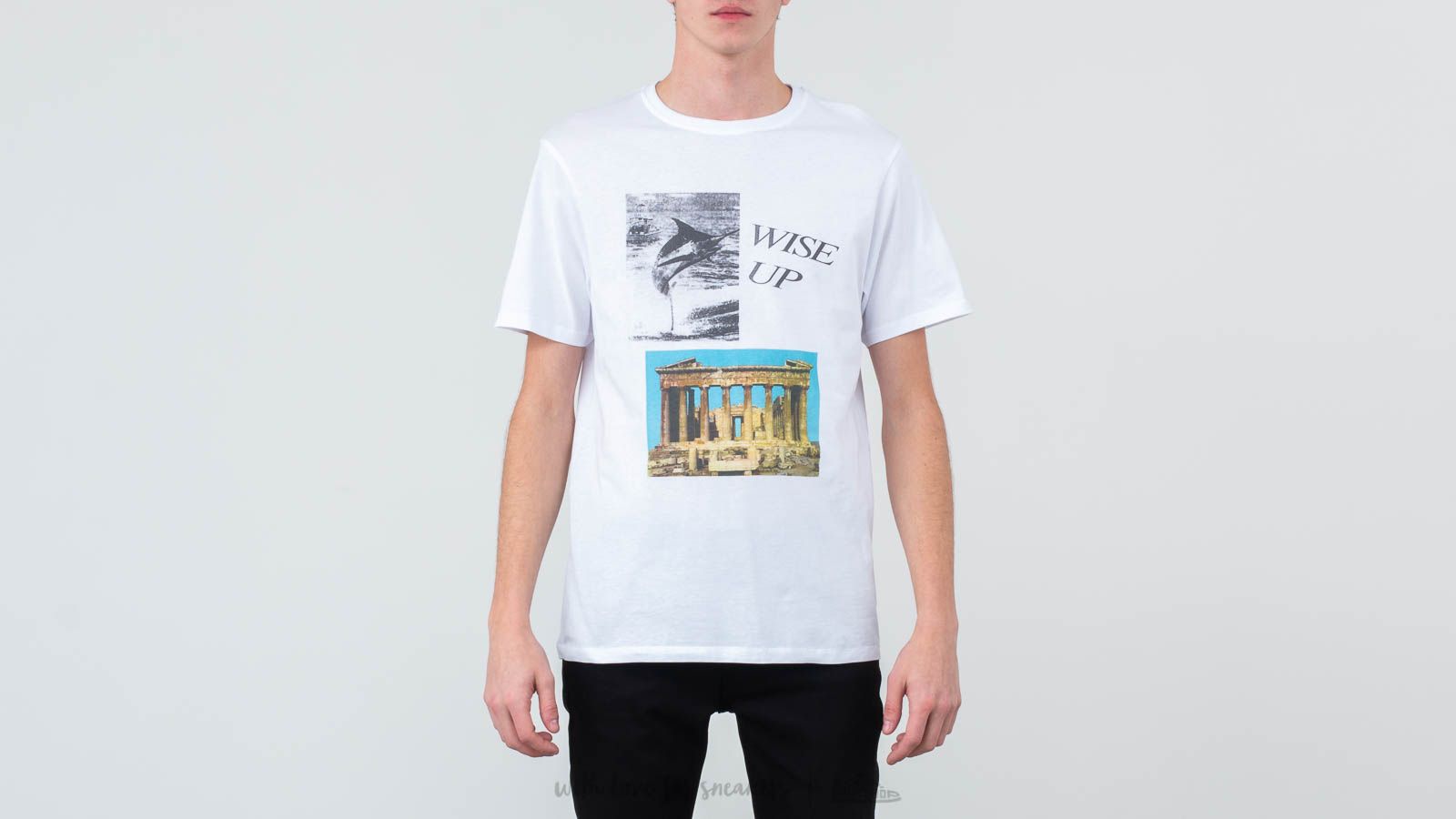 T-shirts Soulland Pig Tee White
