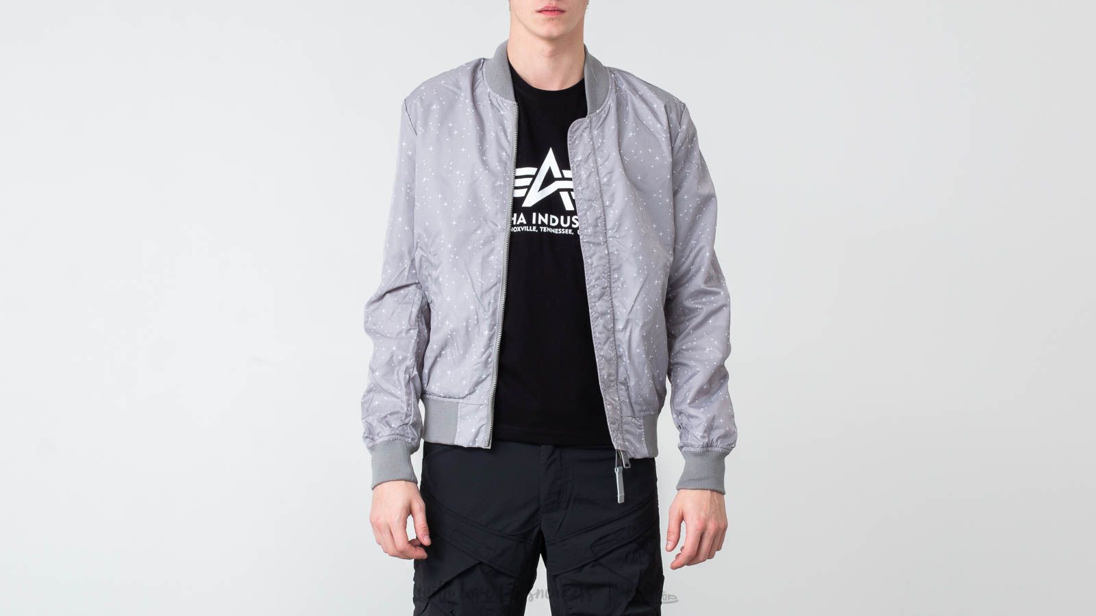 Bomber Jackets Alpha Industries MA-1 TT NASA Reversible II Silver